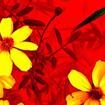 ddos在线压力测试平台